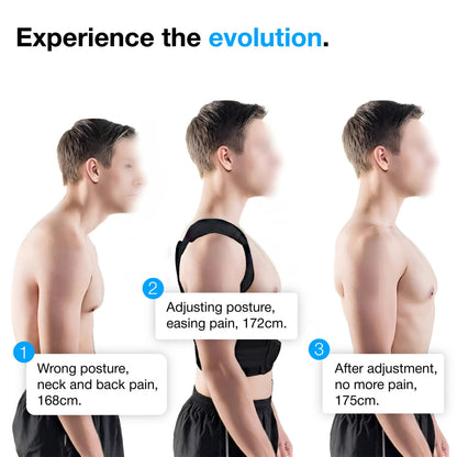 Dazzle fox Premium Posture Corrector Belt Unisex